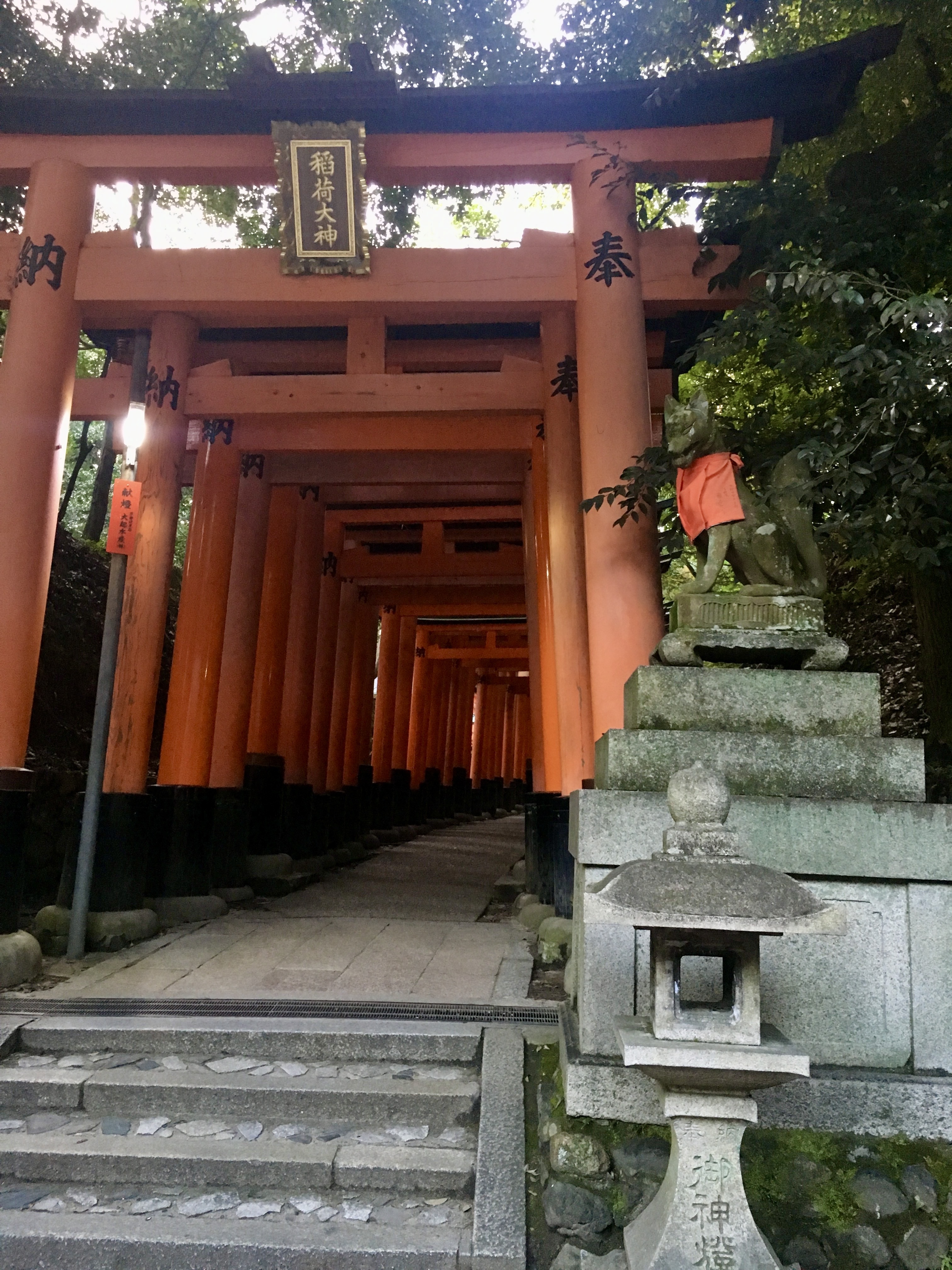 Fushimi Inari - immagine - foto finale