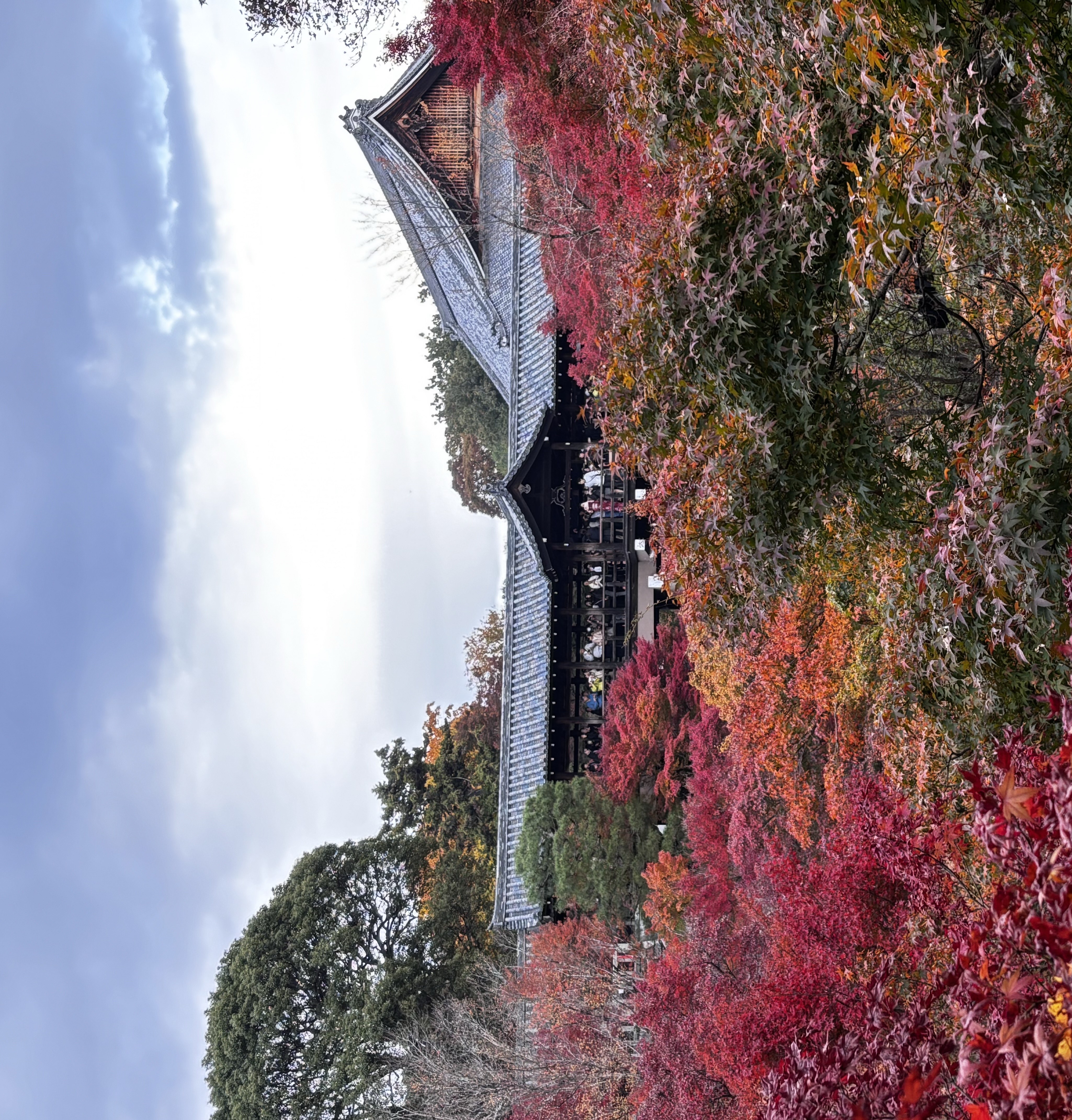 Kyoto 2: Storia - immagine