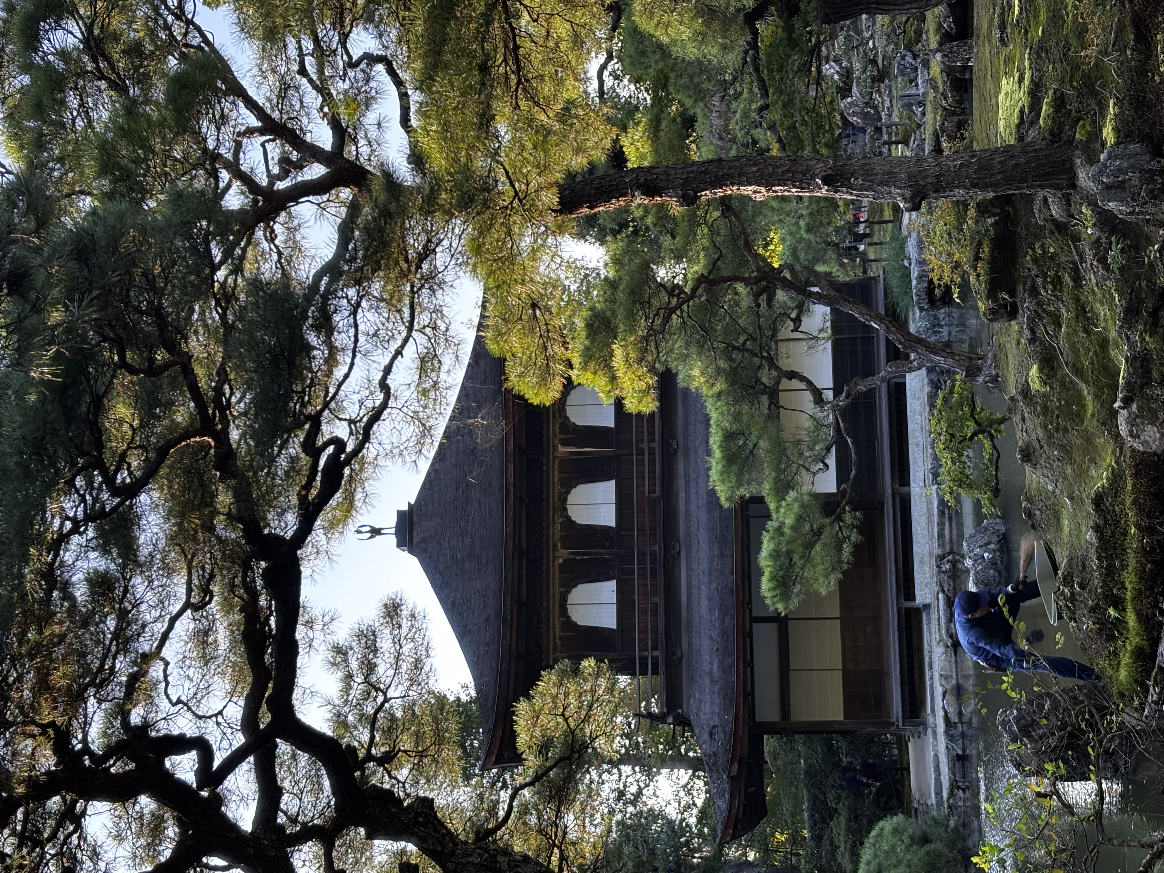 Kyoto 2: Storia - immagine - foto finale