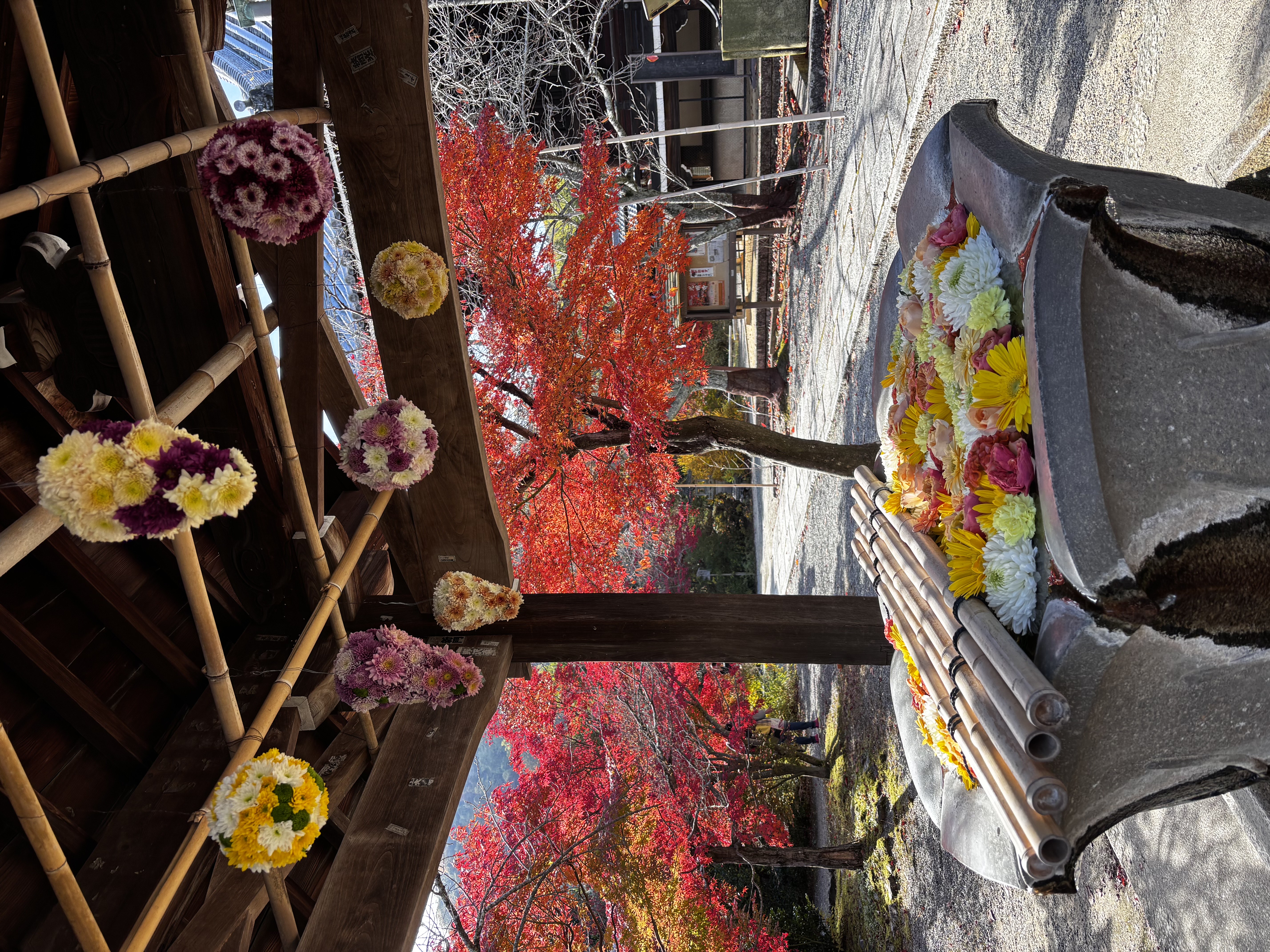 Kyoto 3: Carattere - immagine - foto finale