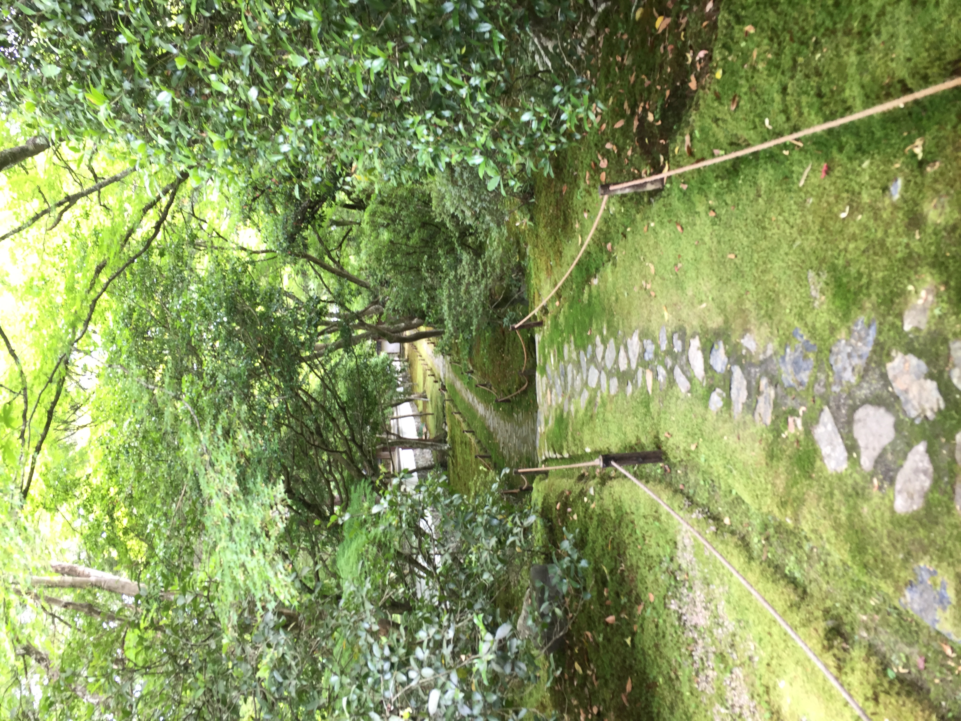 Scintoismo e Buddismo in Giappone 3: Diffusione del Buddismo - immagine