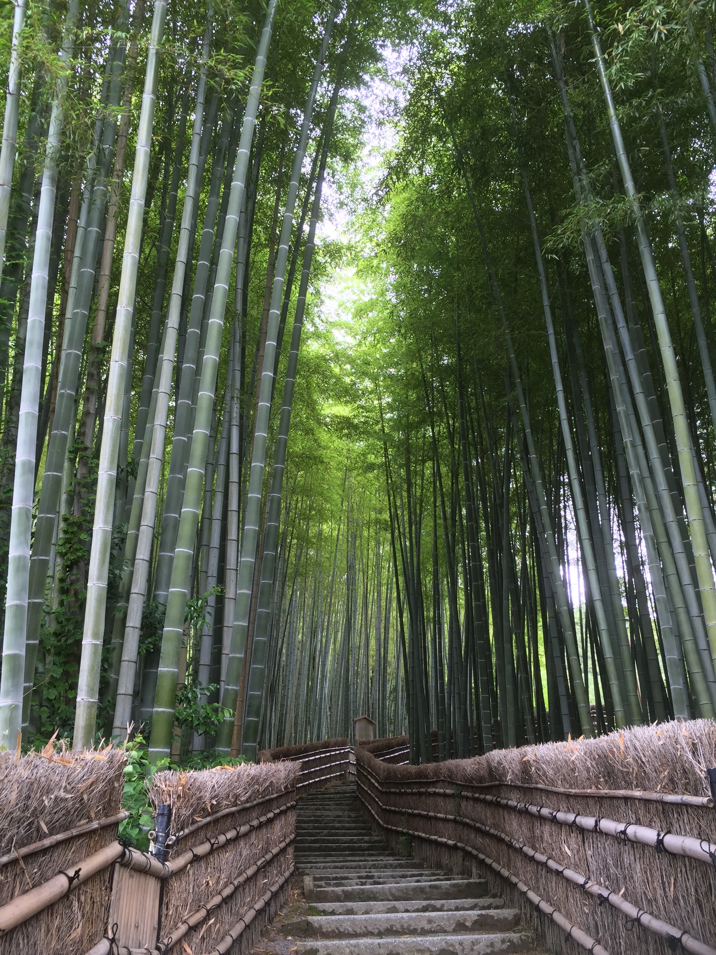 Kamakura 3