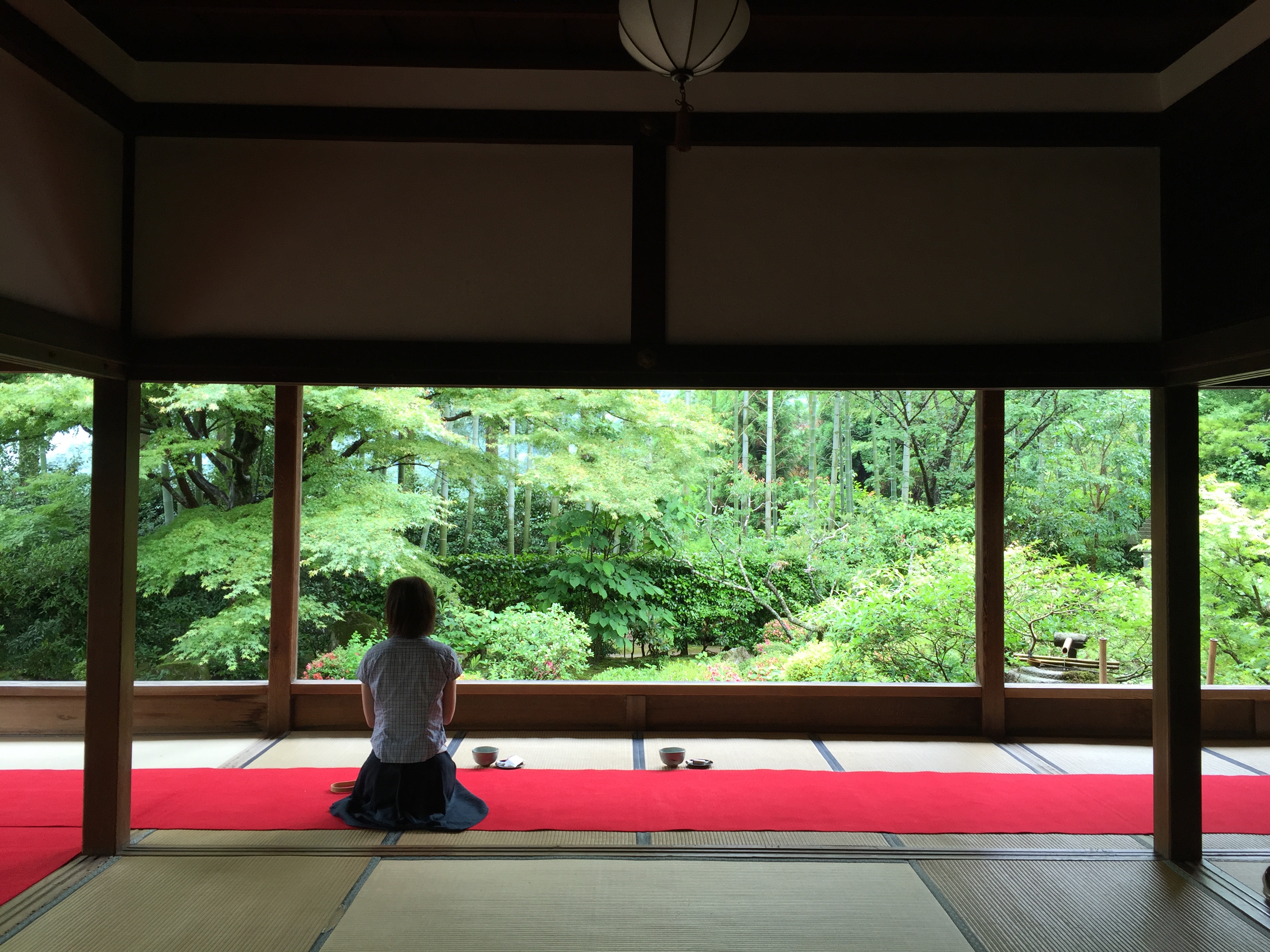 Kyoto Generic 1